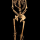 Imagen para el artículo titulado Un antiguo esqueleto encontrado en Inglaterra, segunda evidencia física de la crucifixión romana